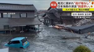 Image result for 耐震 大津波無力