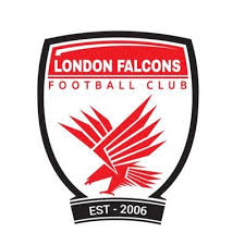 Image result for Ukc Falcons