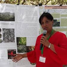 Attēlu rezultāti vaicājumam “Leiocolea rutheana cells”