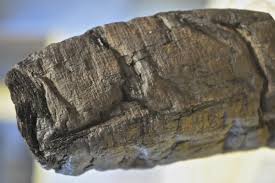 Image result for papirum