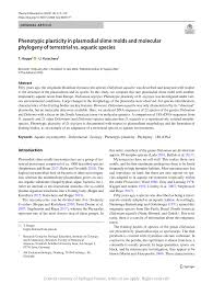 Attēlu rezultāti vaicājumam “Didymium nigripes young”