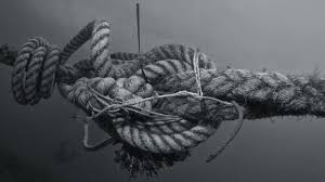 Image result for 腐れ縁