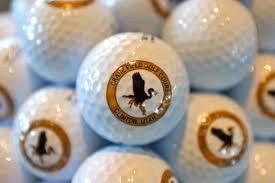 Image result for Cranfield Golf Academy
