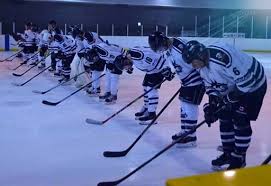 Image result for Streatham Night Wolves Ice Hockey Team
