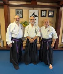 Image result for Ryuko Dojo