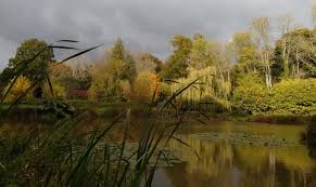 Image result for Crowborough & District Anglers Association