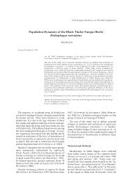 Attēlu rezultāti vaicājumam “Bolitophagus reticulatus larva”