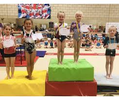 Image result for Park Wrekin Gymnastics Club