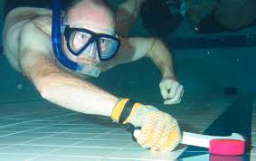 Image result for Worcester Divers Octopush Club