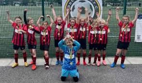 Image result for Abbey Lane Junior Football Club