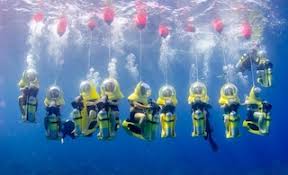Image result for Underwater Adventures