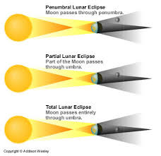 Attēlu rezultāti vaicājumam “Panolis umbra”