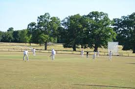 Image result for Lewdown Cricket Club