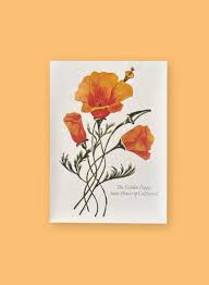 Attēlu rezultāti vaicājumam “Eschscholzia californica fruit”