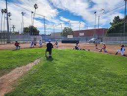 Image result for Little Common Community Sports Club