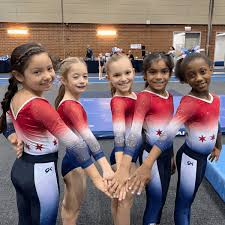 Image result for Focus Institute of Gymnastics
