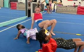 Image result for Concorde Gymnastics Club