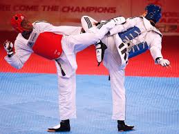 Image result for Reading Wtf Taekwondo