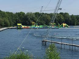 Image result for New Forest/Waterside