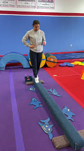 Image result for Little Tricks Gymnastics - Pre-School and Play Gym
