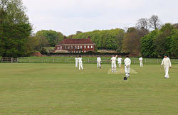 Image result for Ashdon Cricket Club