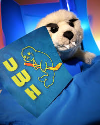 Image result for Stirling University Underwater Hockey Club