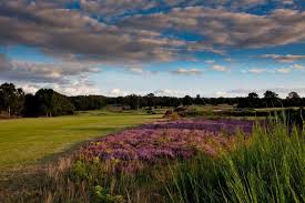 Image result for Walton Heath Golf Club