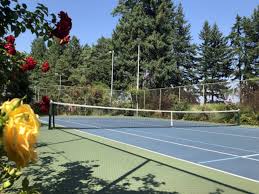 Image result for Potton Tennis Club