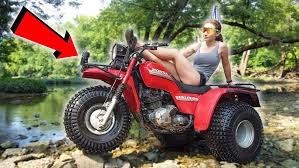 Image result for Wheelin' Wheelers