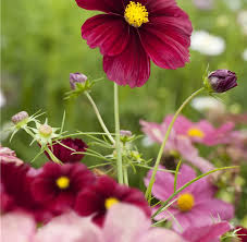 Image result for Schmuckkörbchen