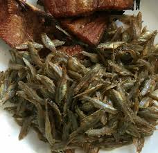 Attēlu rezultāti vaicājumam “Charales”