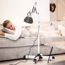 Attēlu rezultāti vaicājumam “Lamproderma debile”