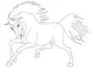 Stallion coloring page