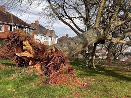 Image result for Exeter Storm