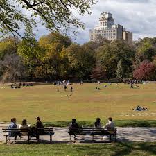 Image result for badalini tehron