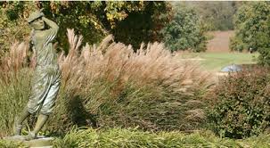 Image result for Arboretum Bowling Club