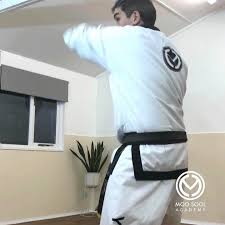 Image result for Moo Sool Academy