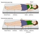 this is how I see the world..: Extrapiramidal motoric control ...