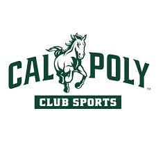 Image result for Caldy Sports Club Limited