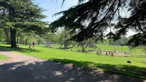 Image result for Greville Smyth Bowls Club