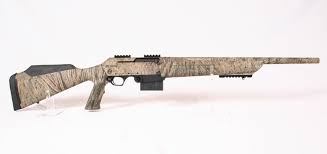 Image result for Winchester Home Guard Rifle & Pistol Club