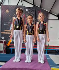 Image result for Kestrel Gymnastic Group