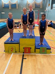 Image result for Weybridge Gymnastics