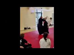 Image result for Budo Shin Ryu Kempo Jujitsu Academy