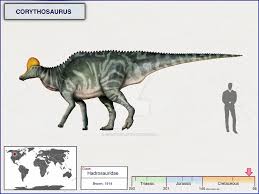 Bildergebnis für corythosaurus