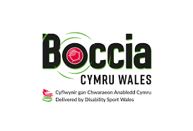 Image result for North Wales Boccia