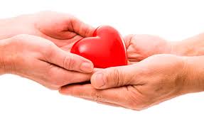 Image result for doação de órgãos