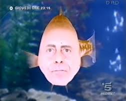 Image result for pheega