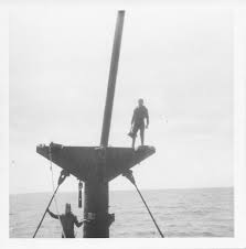 Image result for Surrey Aquanauts B S A C 0689