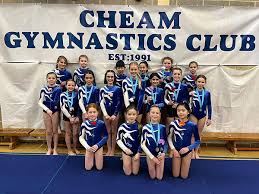 Image result for Charisma Gymnastics Club